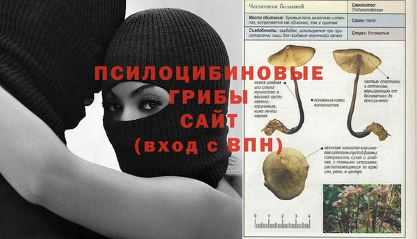 дурь Краснослободск