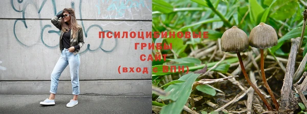 тгк Кукмор