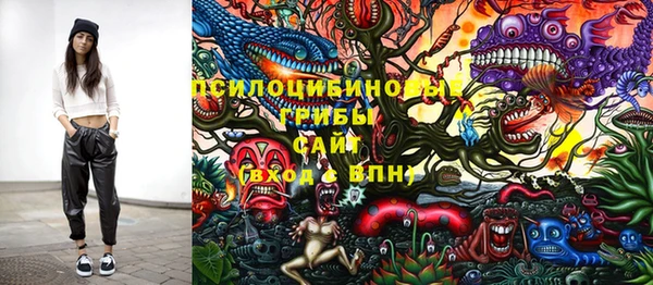 дурь Краснослободск