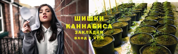тгк Кукмор
