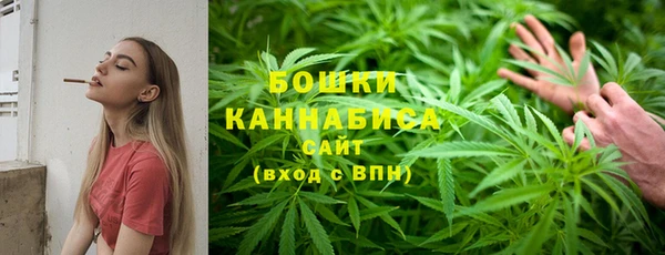 тгк Кукмор